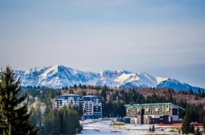 Luxury Apartment Silver Mountain